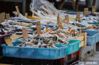 цены продукты Курган