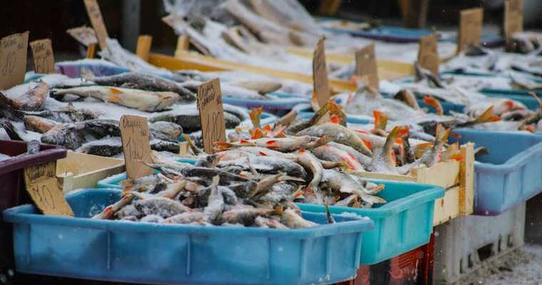 цены продукты Курган