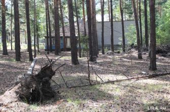 приватизация имущество правительства Курганской области