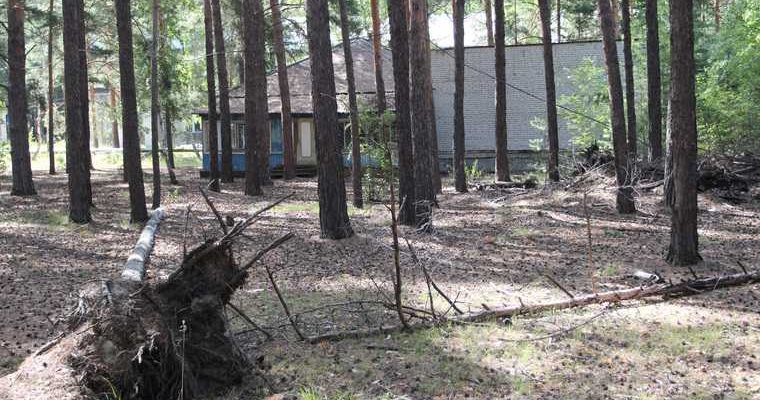 приватизация имущество правительства Курганской области