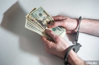 поймать посадить чиновника коррупция