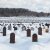В Германии неизвестные осквернили могилу Степана Бандеры