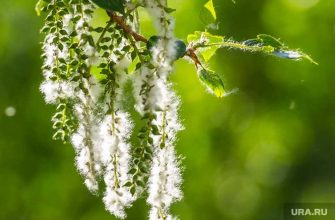 погода на 7 дней неделя похолодание
