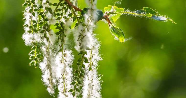 погода на 7 дней неделя похолодание