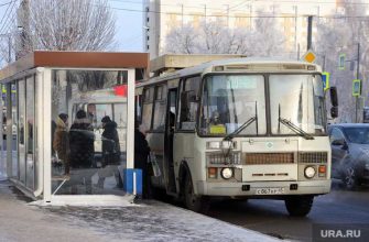 поймали вандала