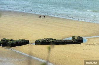 акция Пятерочка и Garnier