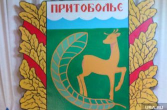 Муниципальная реформа Курганская область