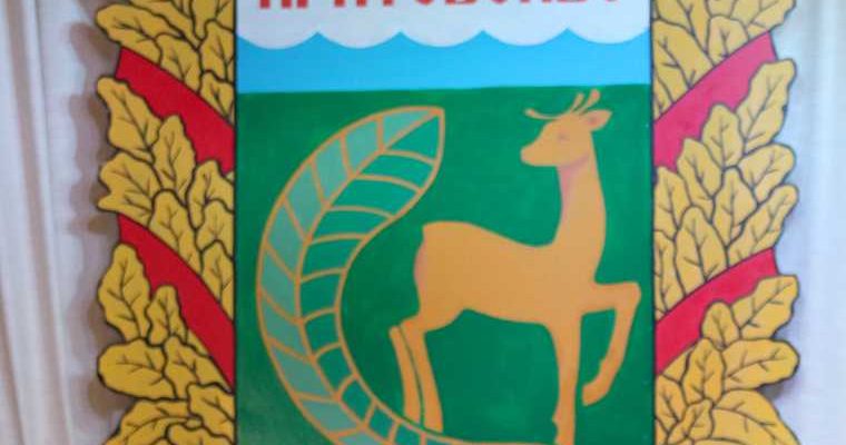 Муниципальная реформа Курганская область