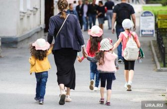 За многодетными семьями РФ предложили закрепить особый статус