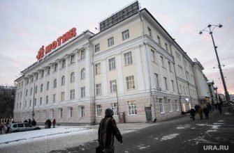 колледж имени Ползунова новый директор Светлана Стукова