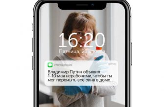 курганские инсайды