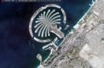 коронавирус тест аэропорт пцр сделать