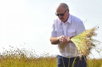 путин россия присоединение стран крым