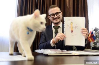 Челябинская область Единая Россия ЕР праймериз Госдума 2021