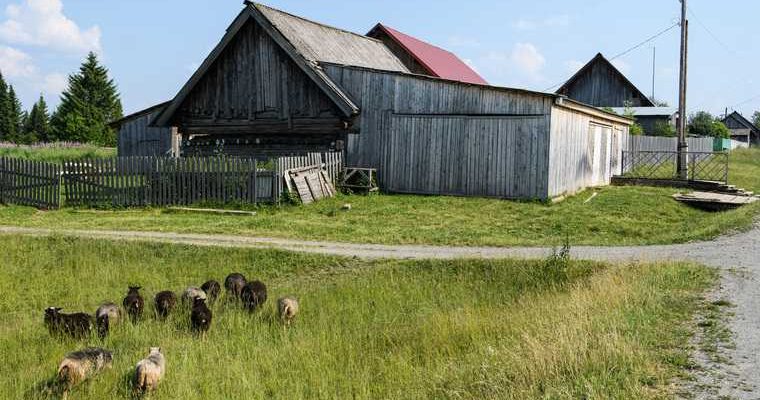 переехать в деревню заплатят
