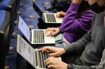 интернет-следователь