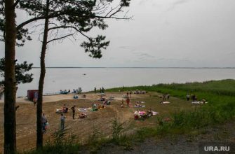 приватизация Курганская область