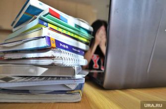 автор учебника