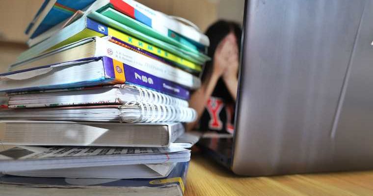 автор учебника