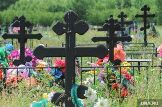 бывший вор в законе Андрей Трофимов где сейчас находится