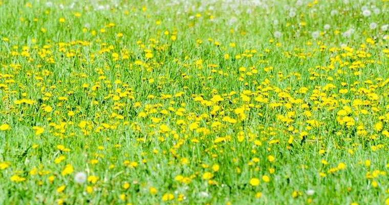 Челябинск погода весна