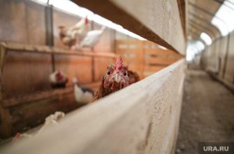 загрязнение земель