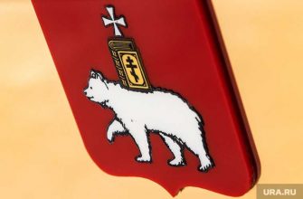 структура мэрии Перми кадровые изменения