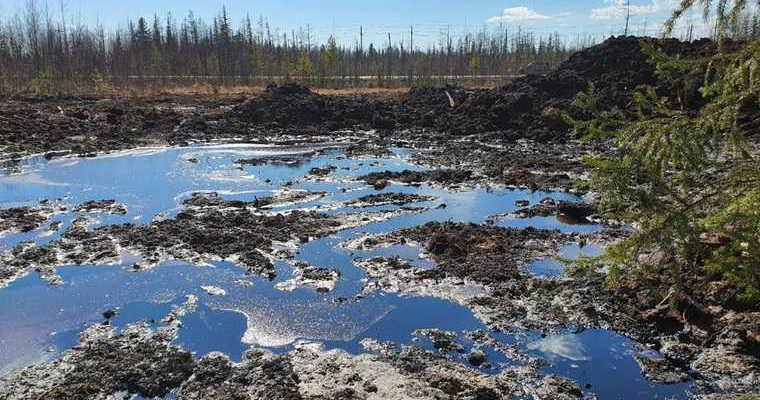 прокуратура ЯНАО ЧП Пуровский район разлив нефти проверка масштабы