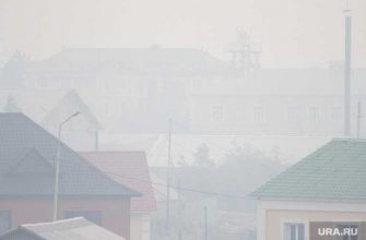 лесные пожары тюменская область