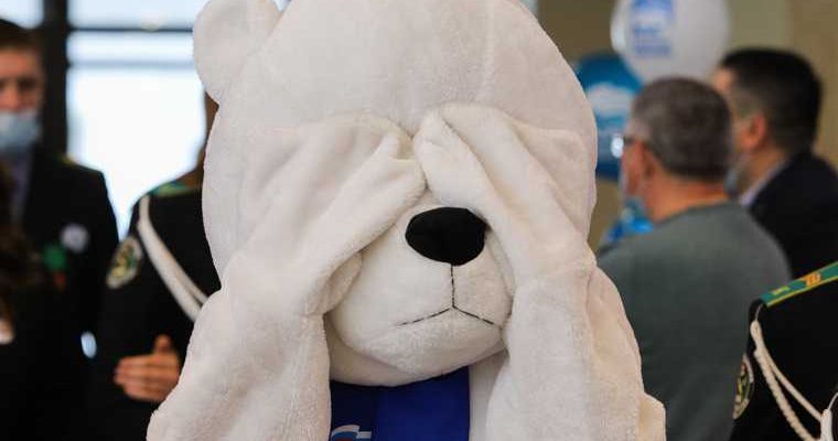 праймериз Курган