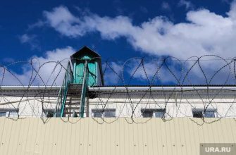 казанский стрелок