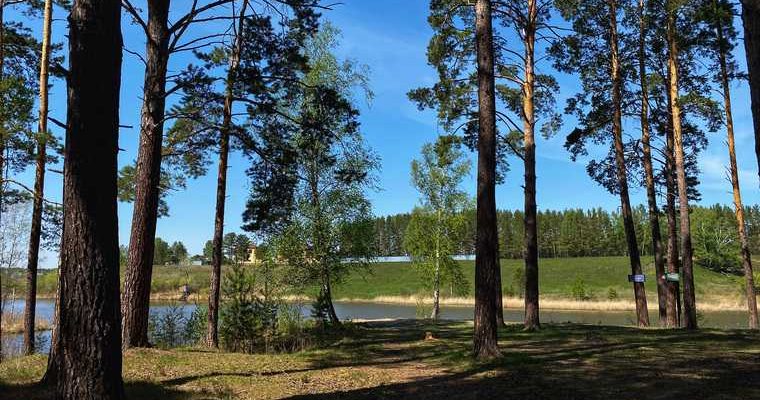 Пермский лес