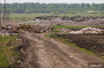 вывозить отходы