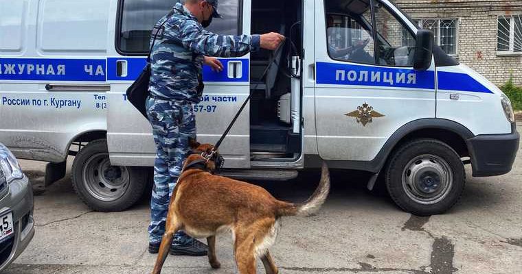 детсады эвакуация Курган