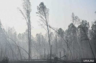 новости хмао лесные пожары в югре затушили все пожары горят леса риск угроза возгорания возникновения новых пожаров затушили потушили огонь