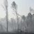 Синоптики предупредили об угрозе крупных пожаров в ХМАО