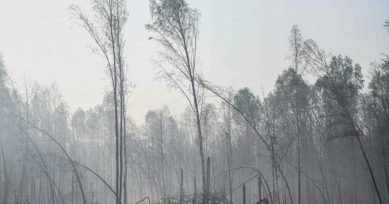 новости хмао лесные пожары в югре затушили все пожары горят леса риск угроза возгорания возникновения новых пожаров затушили потушили огонь