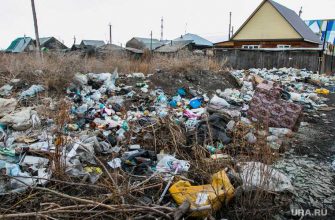 цыгане тюмень