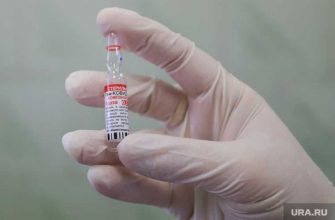 главный врач