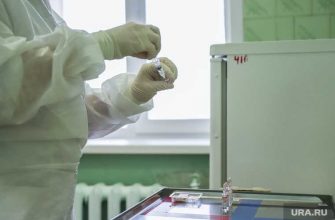 Владимир Болибок