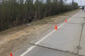 Валерий Пантула Губкинский ЯНАО обстоятельства гибели