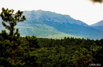 спуск с горы