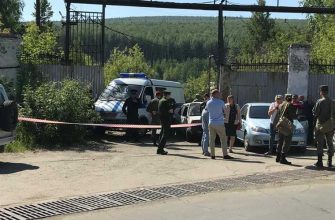 ДТП Лесной уголовное дело