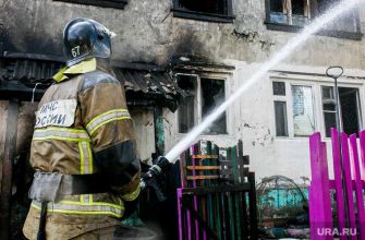 зачем тюменцы поджигают тополиный пух