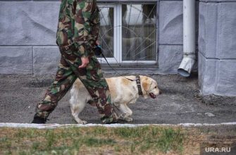 Лжеминирование угроза взрыва школы Сургут Сургутский район ХМАО эвакуация полиция ФСБ Тюменская область