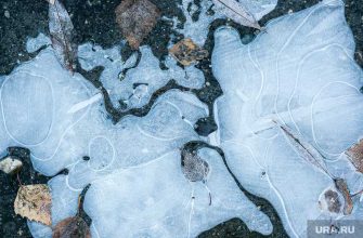 новости хмао погода в югре прогноз погоды синоптики ожидают заморозки возможен снег с дождем погода в ханты-мансийске нижневартовске сургуте