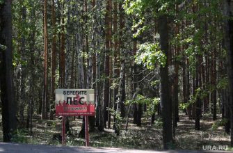 тюменская область