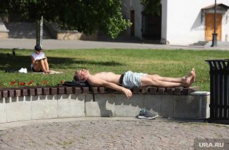 аномальная жара