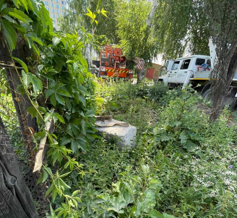 Жителям Цыганского поселка Екатеринбурга сломали забор. «Рабочие спокойно заходили на участок». Фото