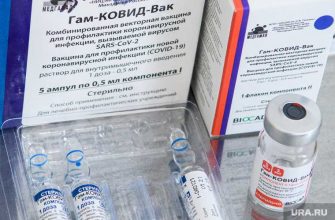 анастасия крутень